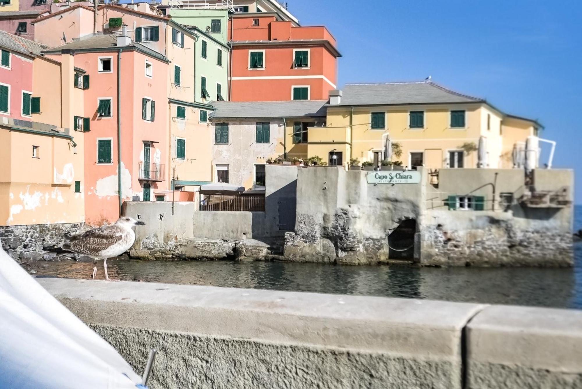 Ferienwohnung Il Rifugio Sul Mare - Genovainrelax Exterior foto
